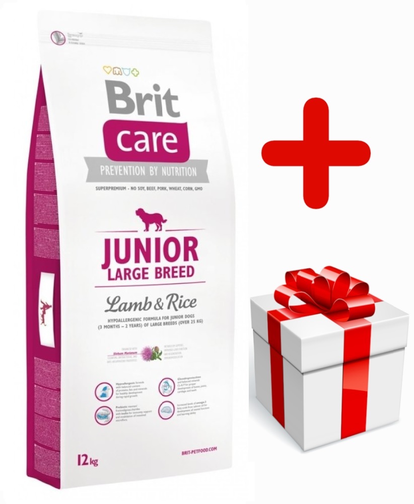 Care junior