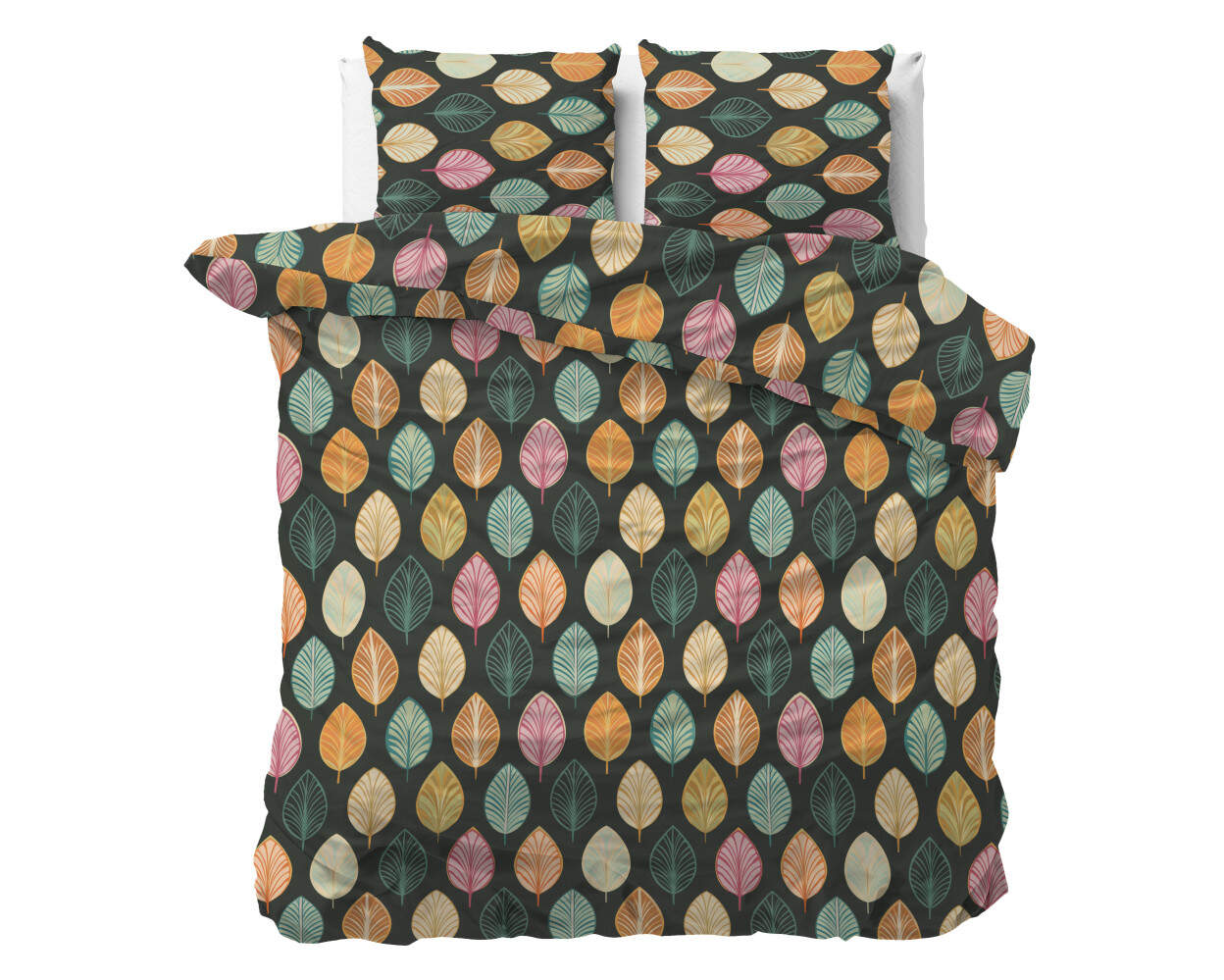 Oscar Multi 240 x 220